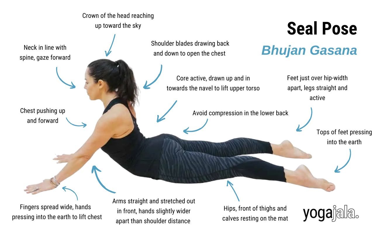 How to Do Sphinx Pose in Yoga (Salamba Bhujangasana)—Proper Form, Variations,  and Common Mistakes - The Yoga Nomads