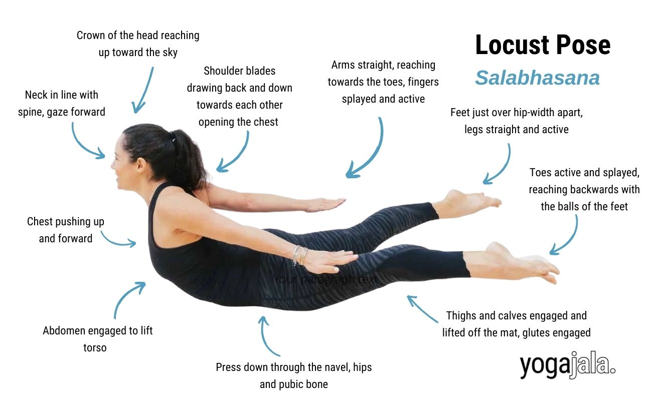 Locust Asana Benefits At Carrie Booker Blog