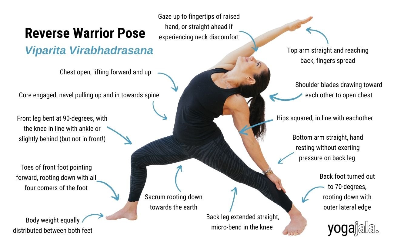 Warrior 1 Pose - Ekhart Yoga