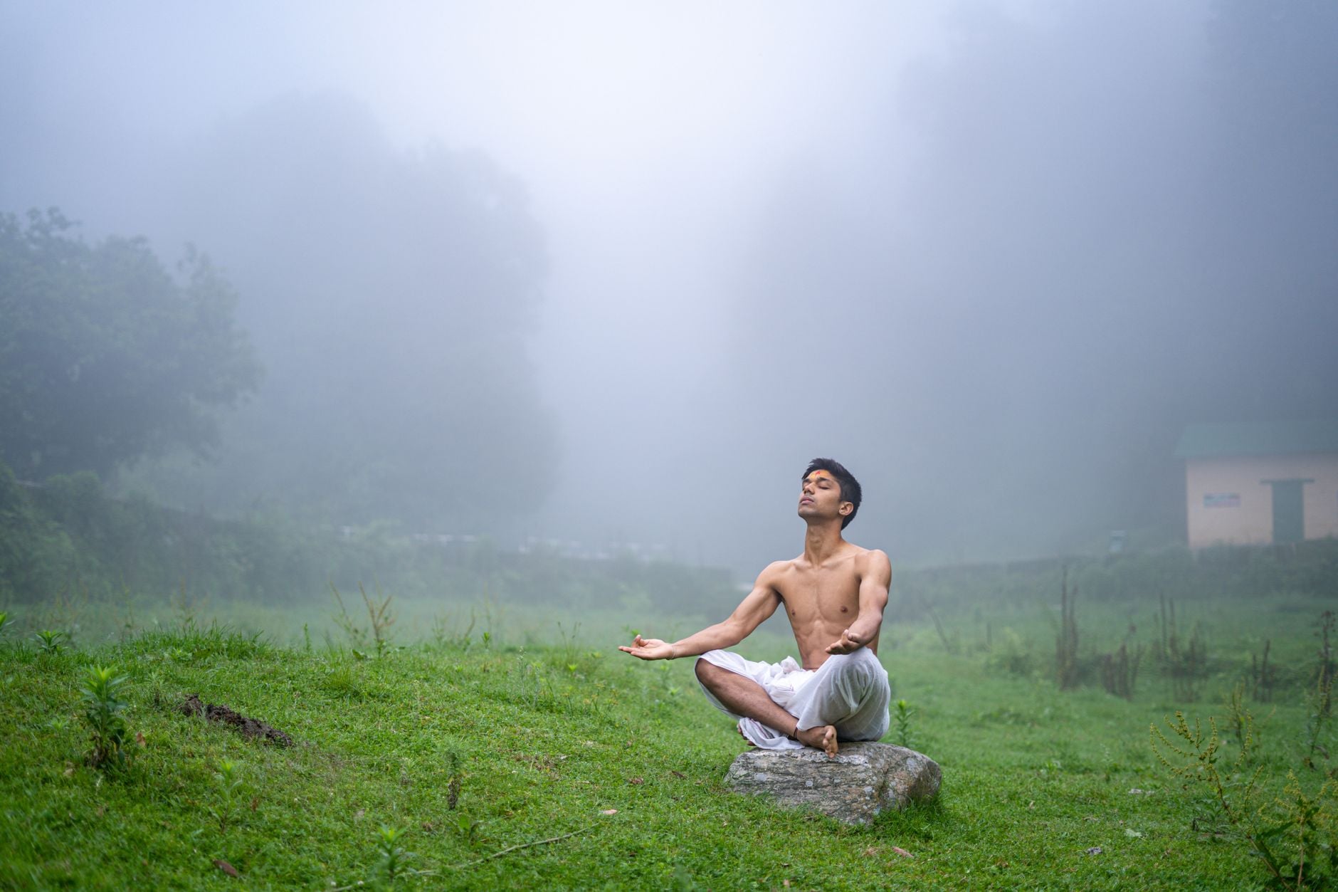 Yoga Sutra 2.16: Heyam Duhkham Anagatam