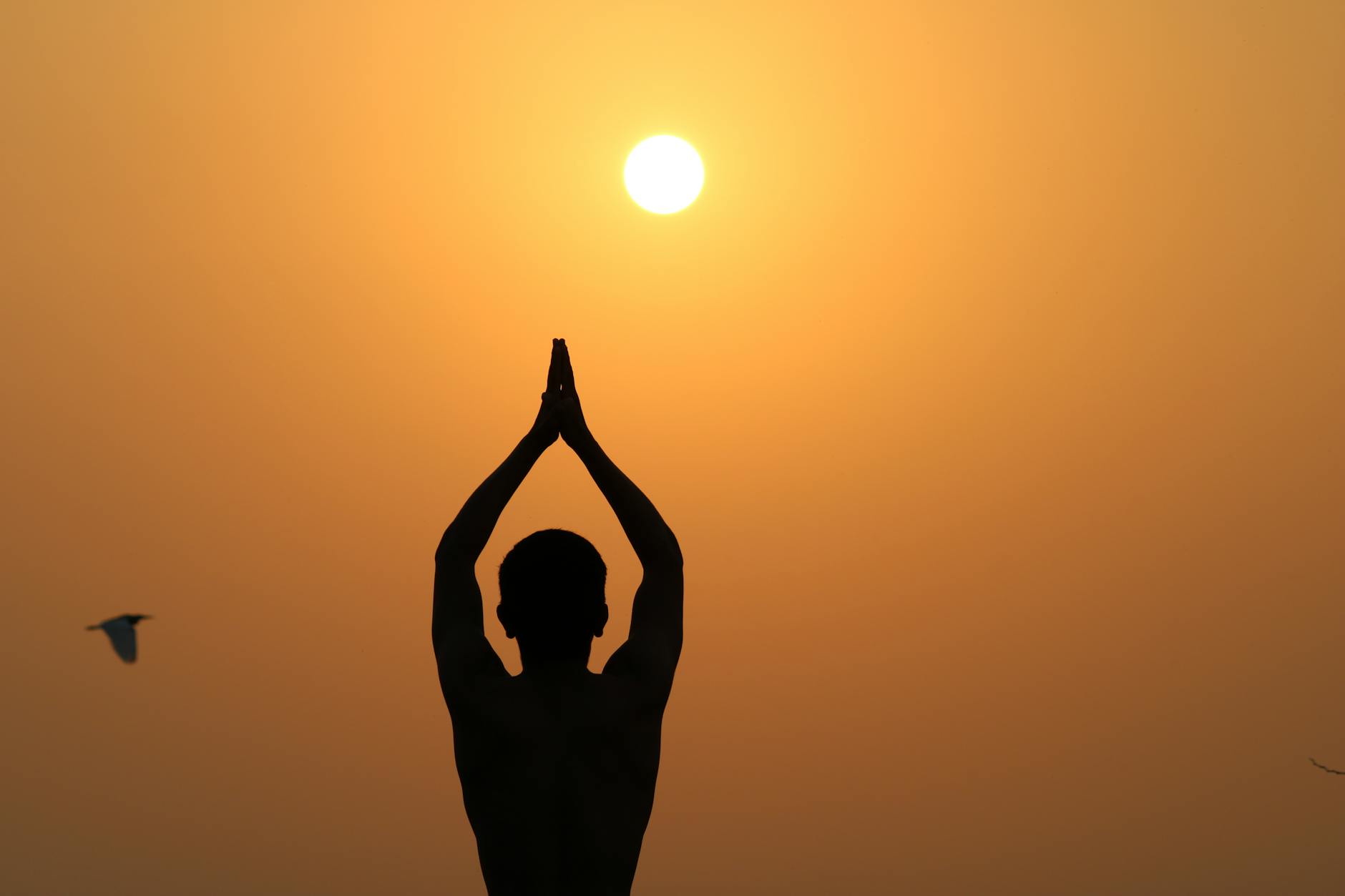 Surya Namaskar Boosts School Students’ Fitness: What a Major Review Reveals