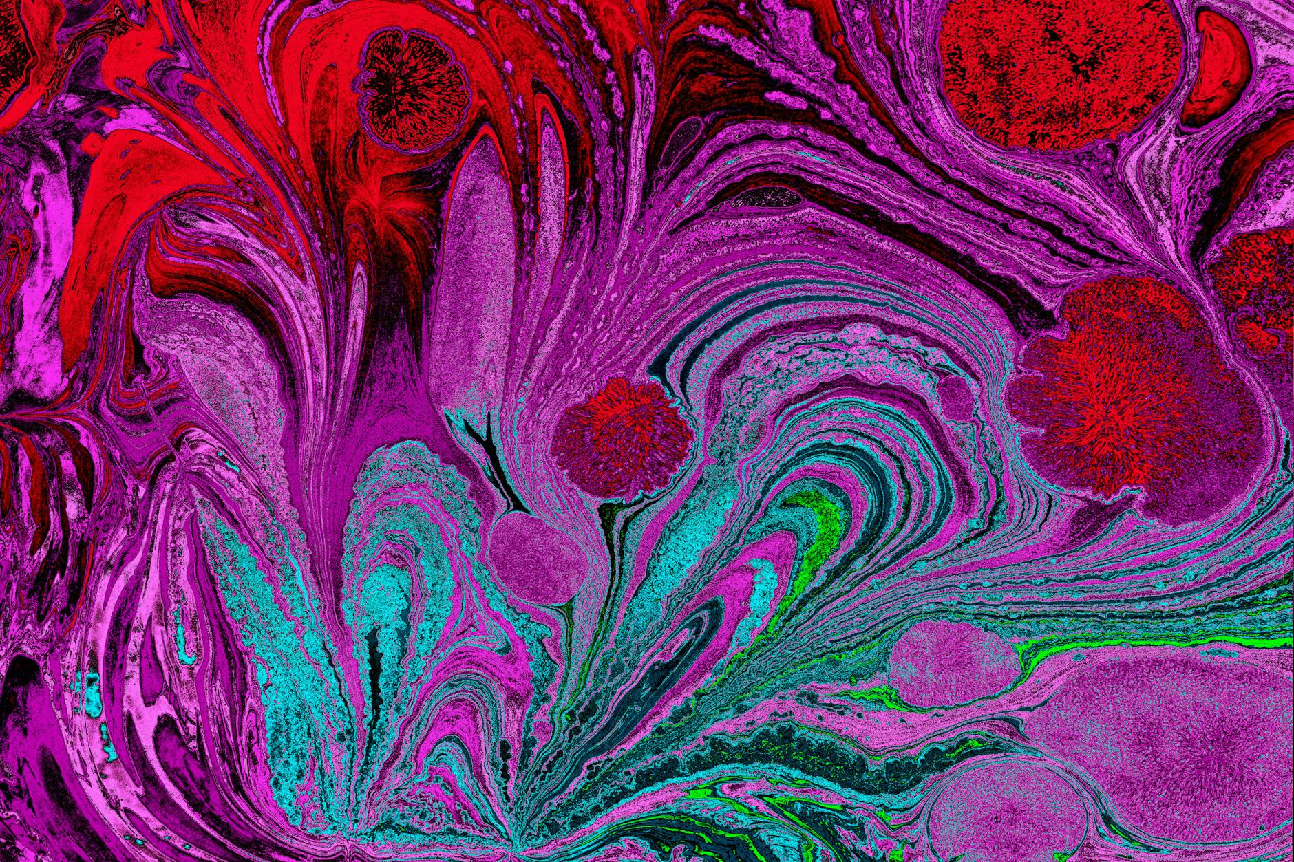 Breathwork Triggers Psychedelic-Like Brain States, Neuroimaging Study Confirms