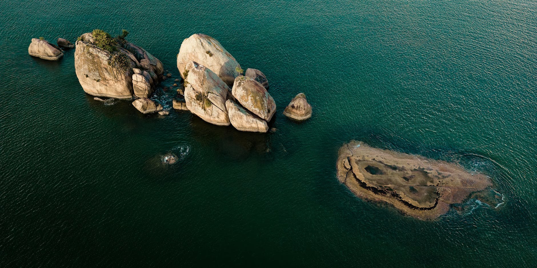 Newsweek Names Gaia Among Best Mindfulness and Wellness Apps for 2026