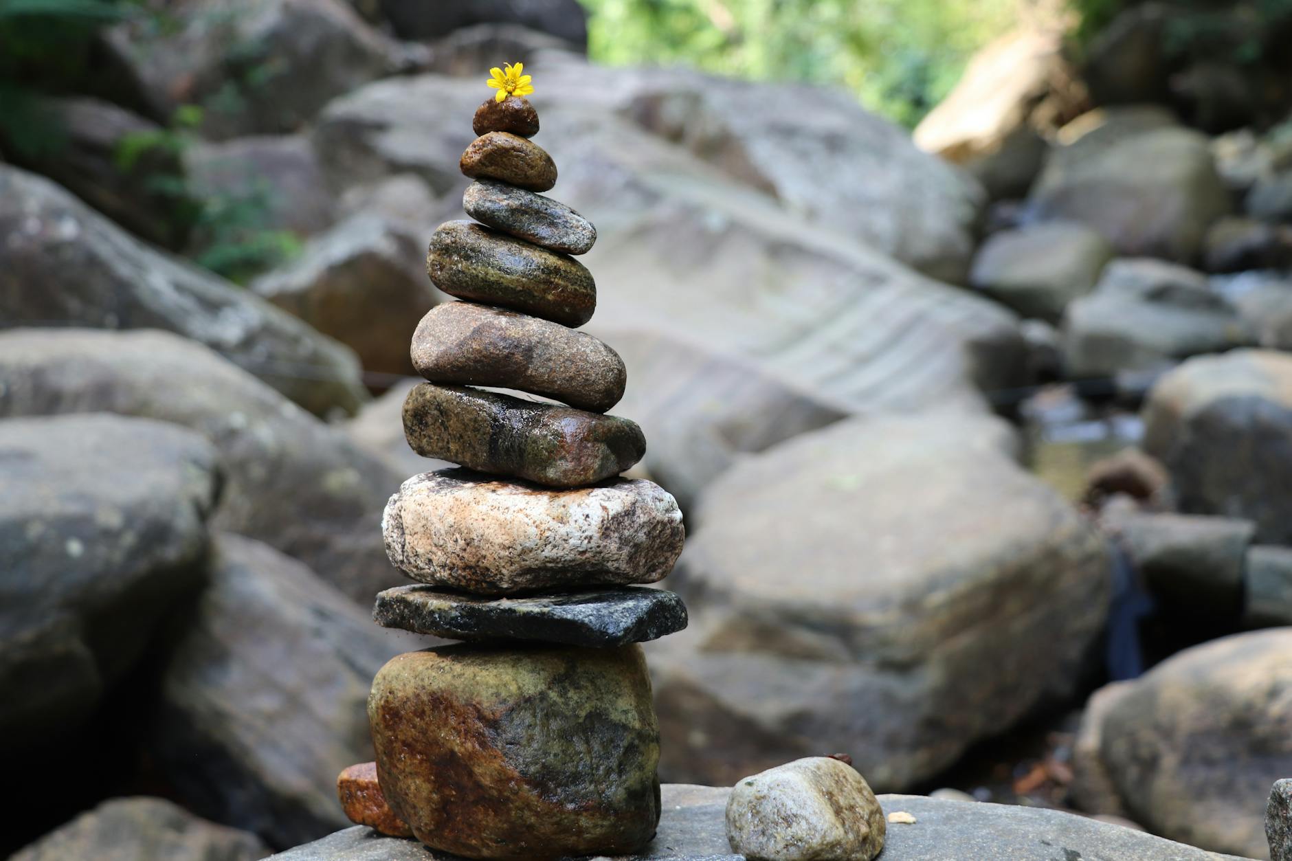 Samana Vayu: The Balancing Prana Explained