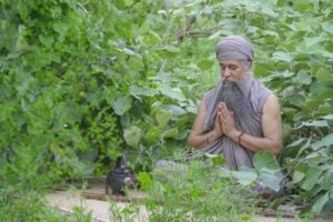The Three Granthis: Yogic Energetic Knots Explained